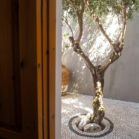 St. George Apartment Rhodes City