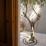 St. George Apartment *